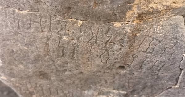 قتيل الكنز!!